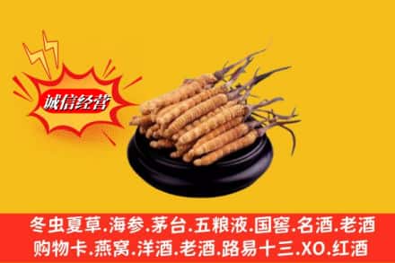 南通市如皋求购回收虫草多少钱每克